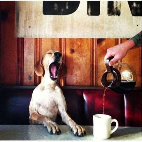 dobro jutro, jazzeri..:)