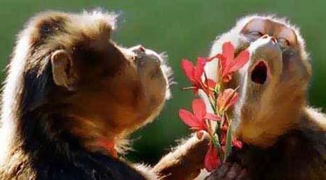 Oooo, pa niste trebali..:))