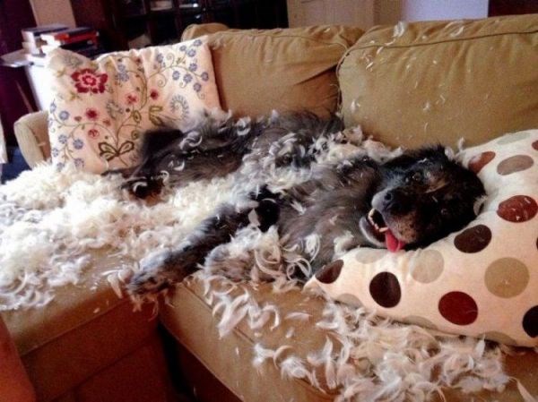 dosada brate, dosada..