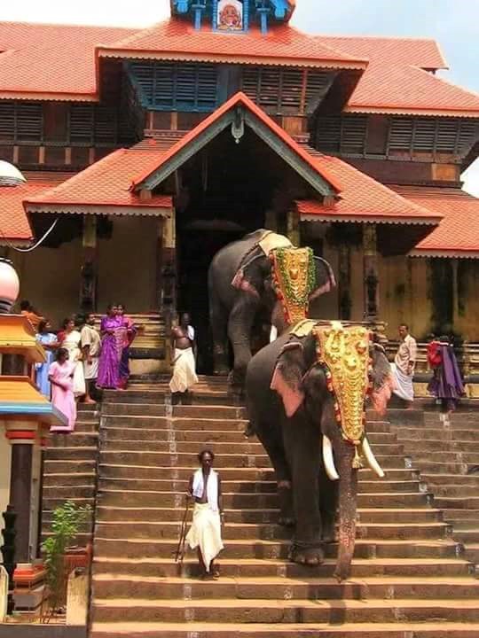 nimalo neobično ako se nalazite u Kerali, saveznoj  indijskoj državi..respekt