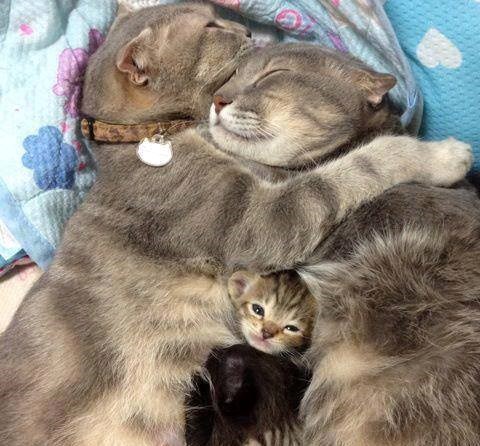 happy family...