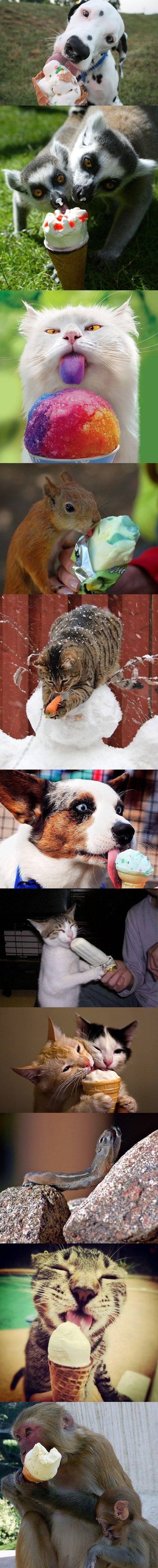 ljeto dolazi, na opću radost sladoledoljubaca..