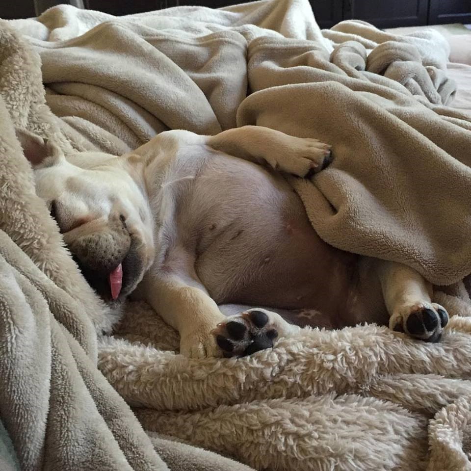 ponedjeljak ujutro..:))