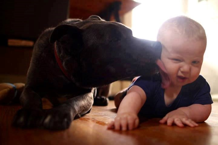 ma, pusa k´ kuća..:))