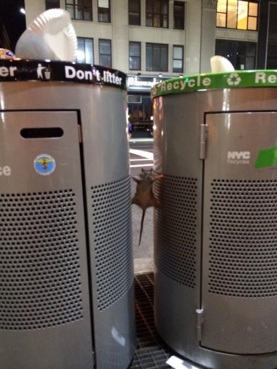 uh,teška vremena..nikad nije bilo ovako teško doći do zalogaja..