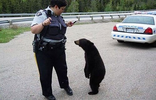 ali gospođo, pješačkog nema slijedeća 3 kilometra..