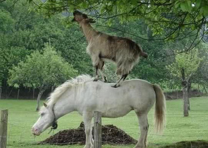 prijatelji su tu da ti pomognu..:)))