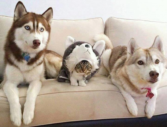 s kim si - takav si..:)))