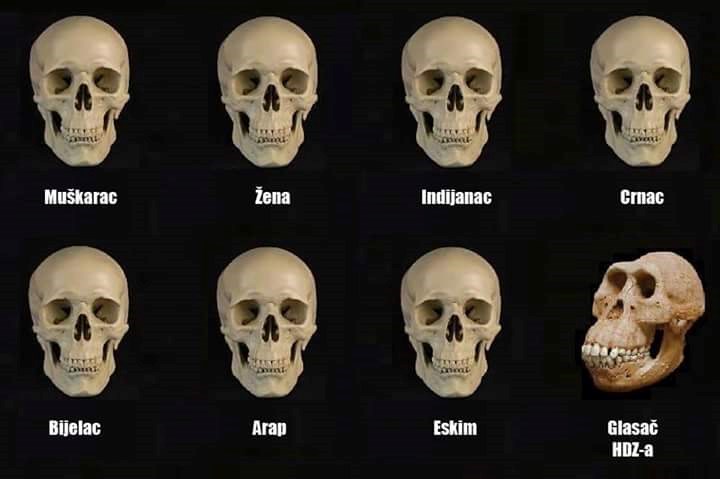 sličnosti..i razlike..