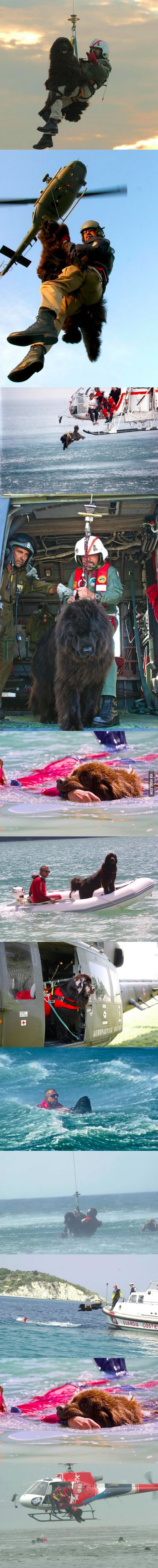 ovako, gledajući sa terena, izgleda spašavanje nečijeg života..