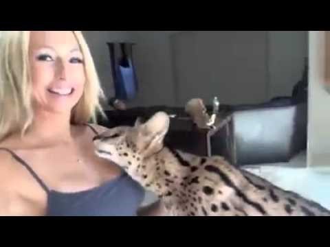 ako postoji trenutak u životu kada ste poželjeli biti mačka, onda je to ovaj trenutak..video