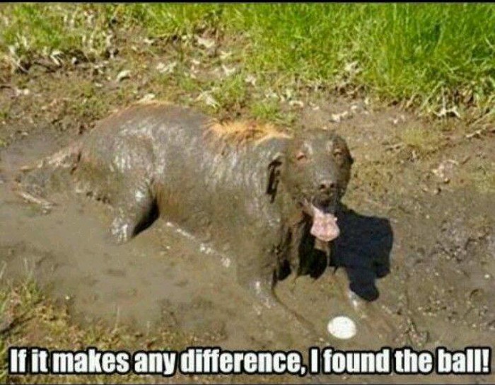 haha..
