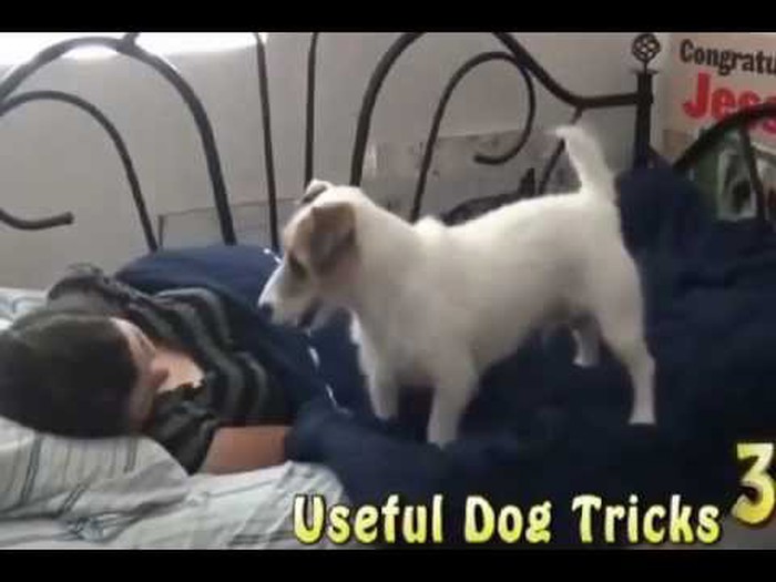 pa tko ga ne bi poželio..video
