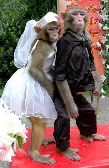 just married..