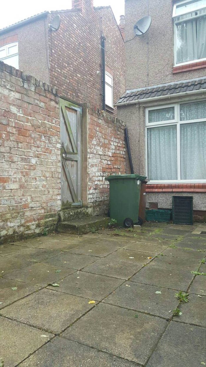 vidite li mačku na slici ??