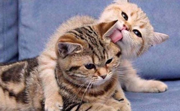 čekaj da ti popravim frizuru..