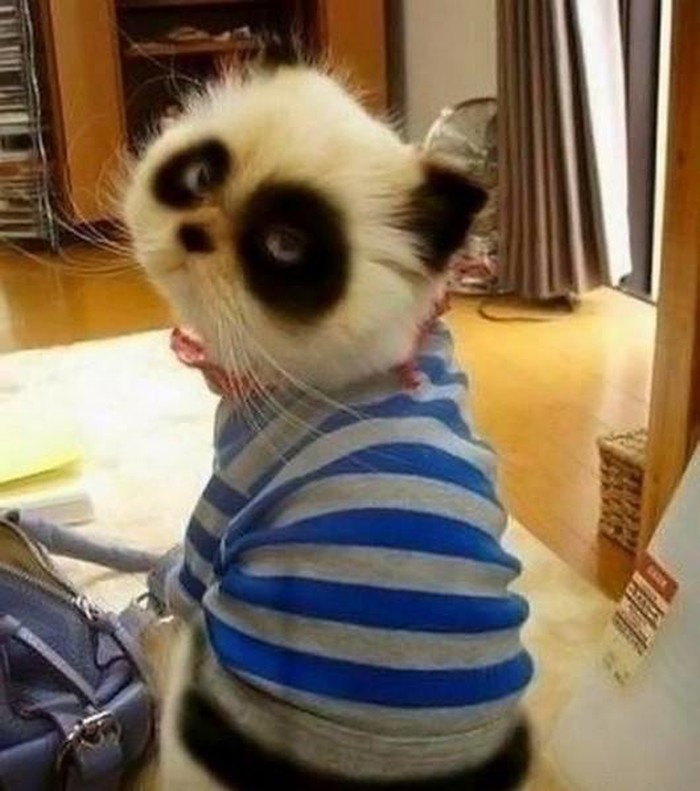 vidi mu se po faci da je tražio neku drugu boju..