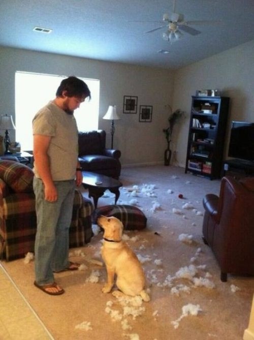 ok...a što ćemo sad ??