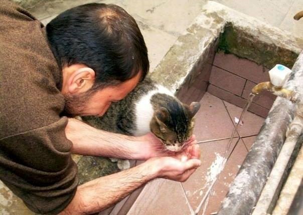 mala pomoć velikom prijatelju..:))