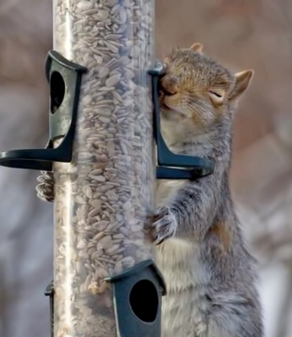 najbolji prijatelji..