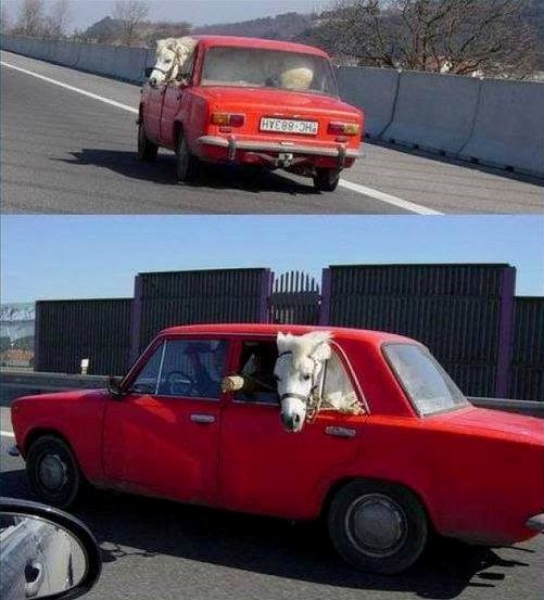vanserijski žiguli..sa konjem više..
