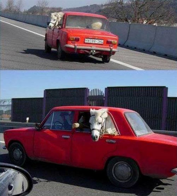 vanserijski žiguli..sa konjem više..