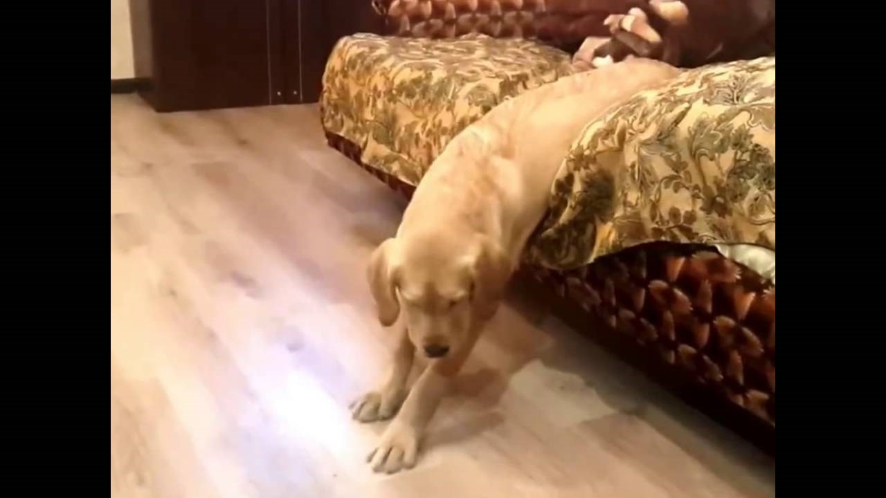 pun pogodak...video..:)))))