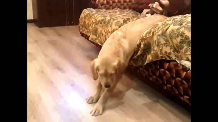 pun pogodak...video..:)))))
