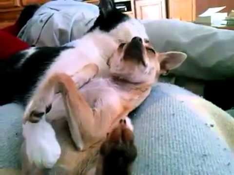 ljubav i podrška..video