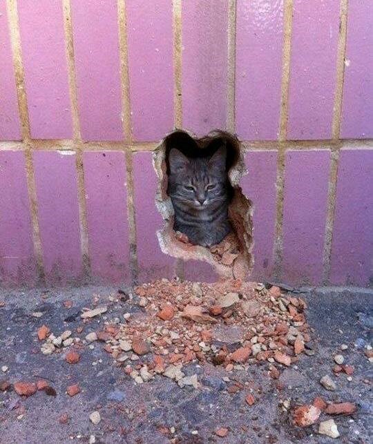 samo ako stanem unutra..