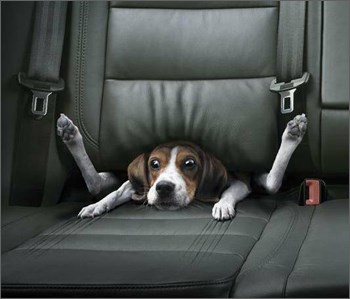 a da ne ubrzavaš tako naglo ???