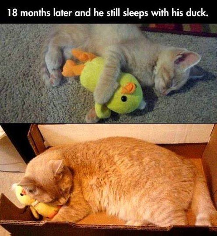 hehe..