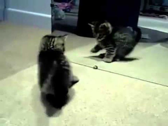 sam sebi dovoljan..:)) video