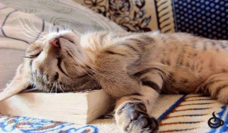 ma samo malo odmara od napornog izležavanja..