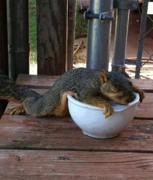 sezame otvori se, molim te..