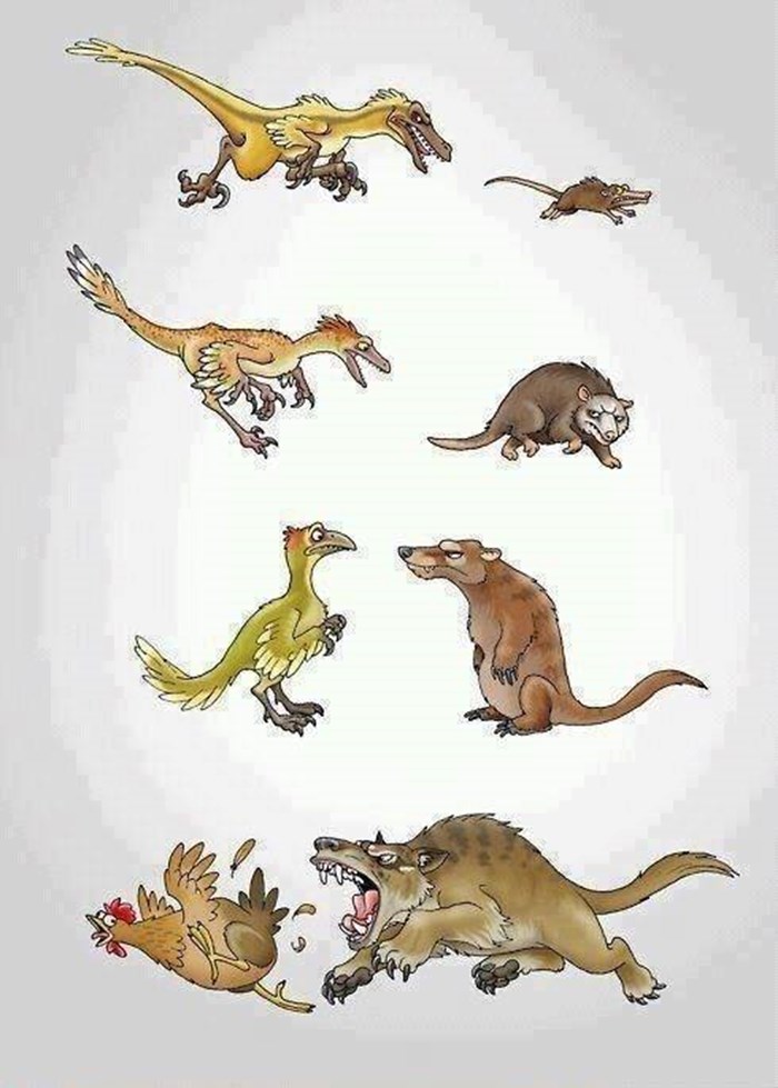 evolucija može biti zeznuta stvar..:))