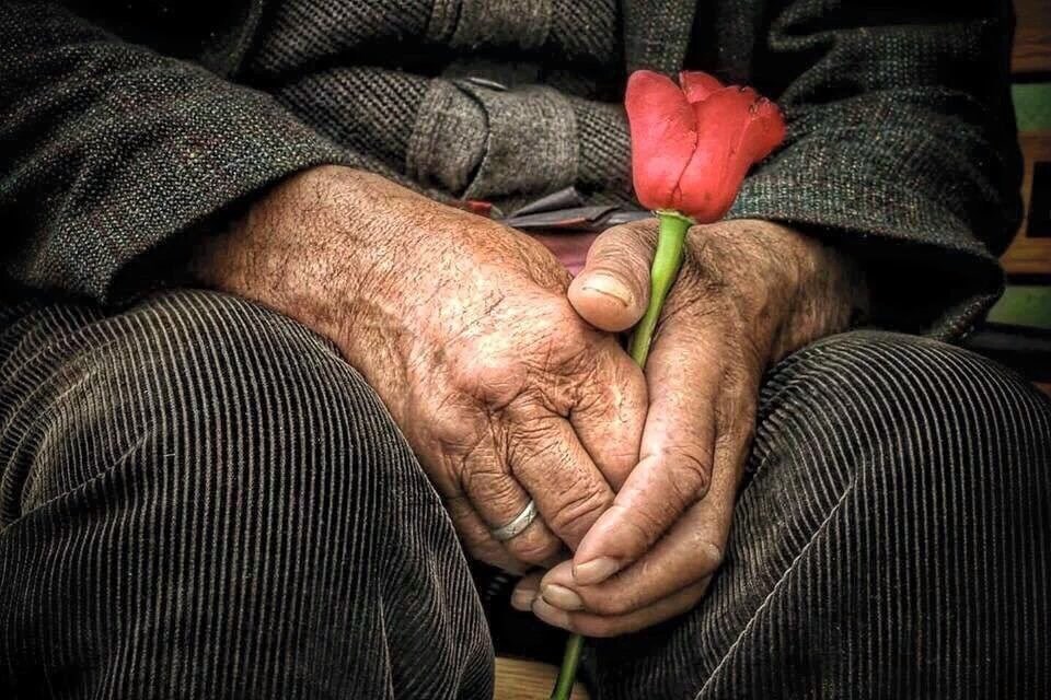 tko ne zna za strpljenje, nije upoznao ljubav..