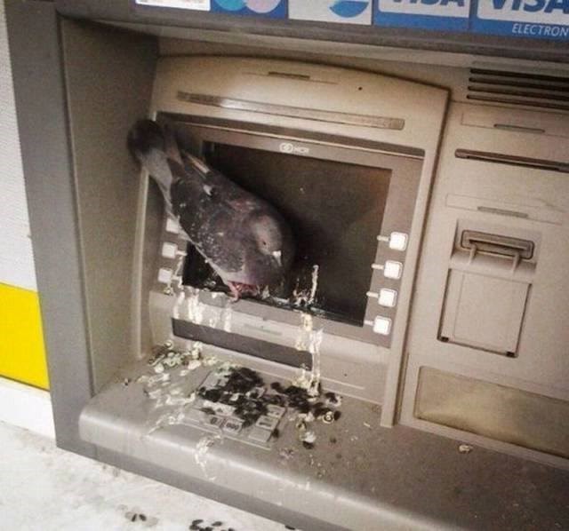 majka priroda daje odgovor materijalizmu..poprilično slikovito..:D