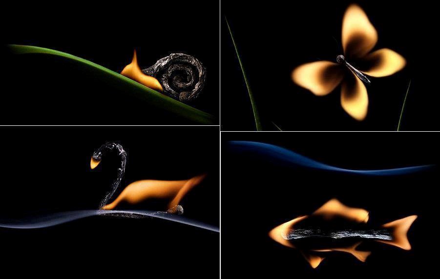 igre plamenih životinja..