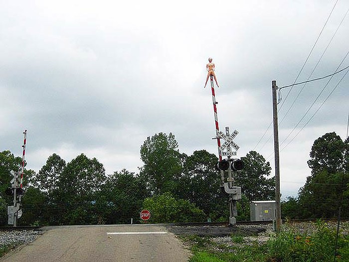 tko visoko leti..