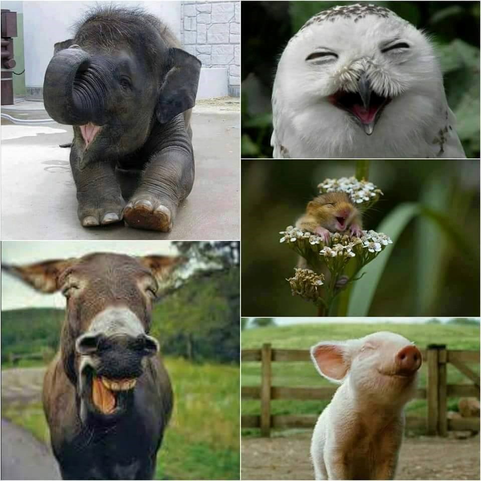 može smile za fotku ?..:))