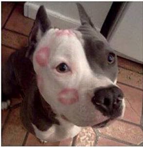 ne znaš kome teže pada odlazak na posao..