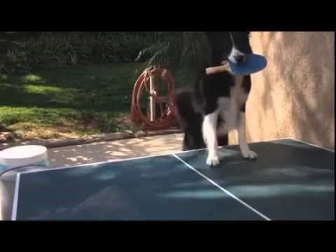 granice ne postoje..video