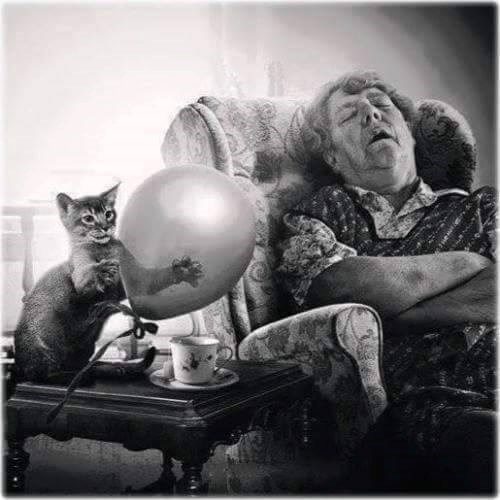 a sad malo ugodnog buđenja..