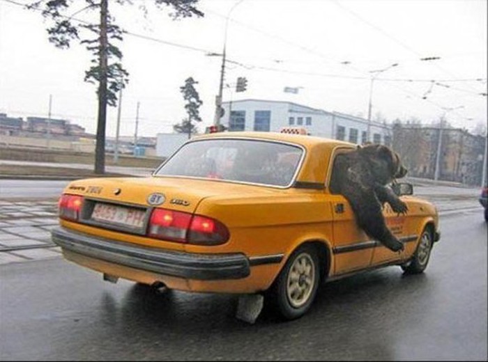 medo uzeo Taxi..