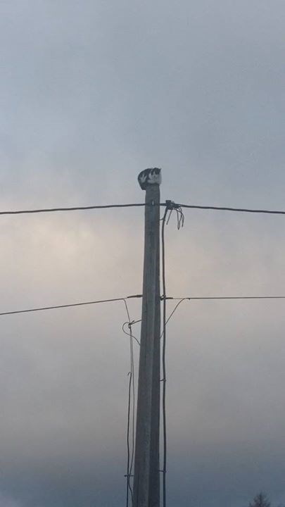 ono kada ne želiš da te netko gnjavi..:))