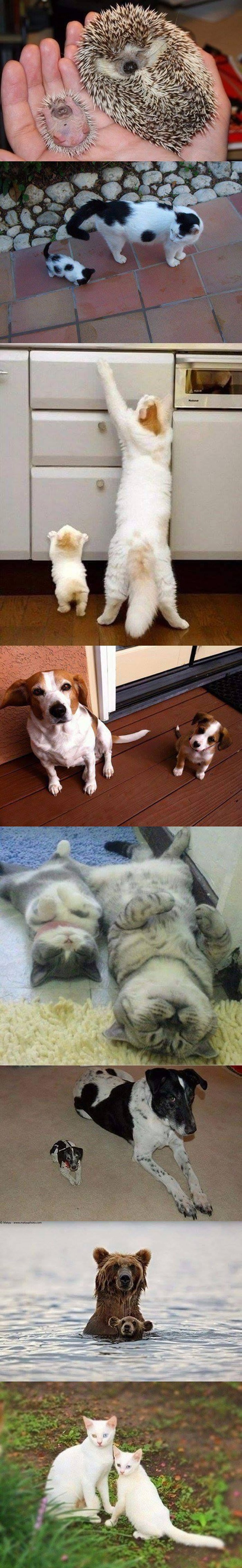 od malih nogu..:))