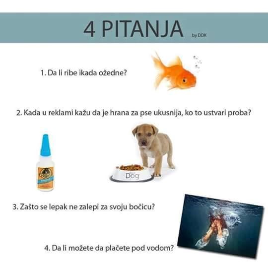 sasvim logična nelogičnost..???