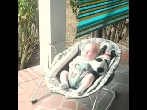 izležavanje u društvu..video