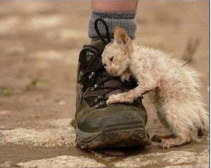 ma jako ću te voljeti, samo me odvedi kući..